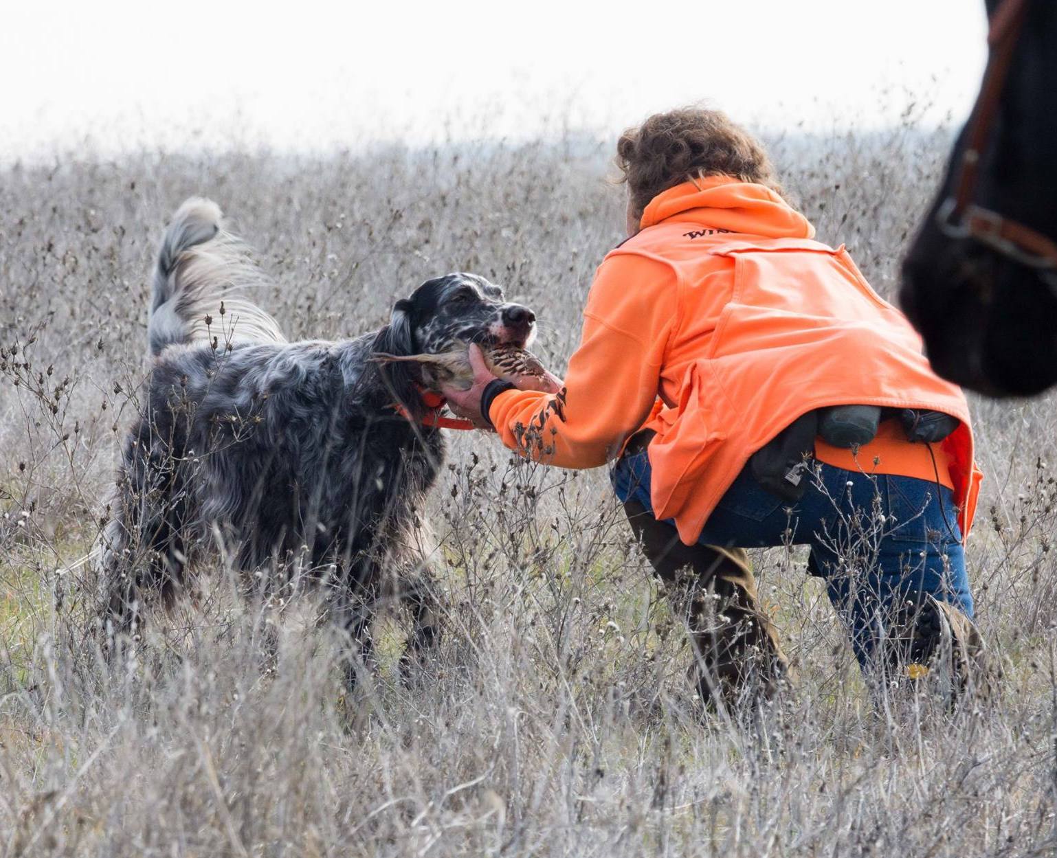 Teaching New Tricks ...